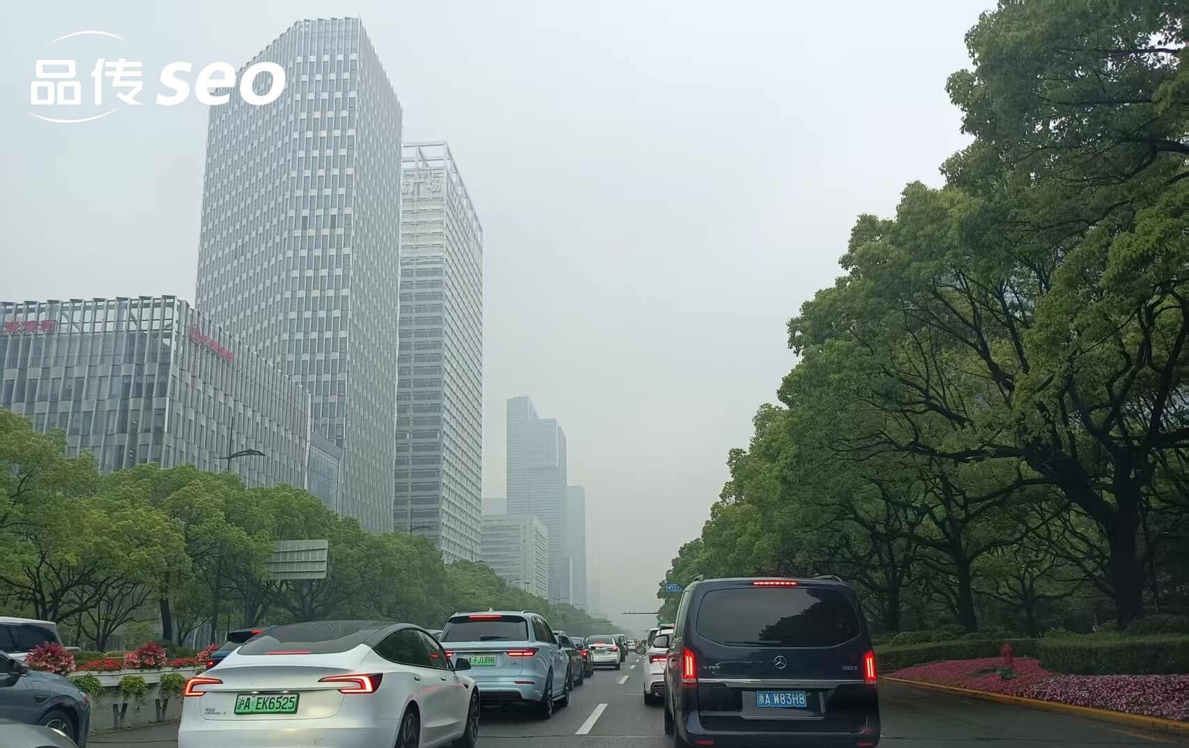 抖音SEO排名新高度，品传服务助你实现目标